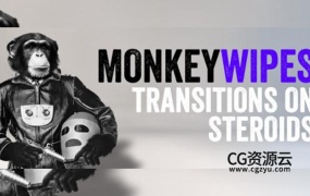 AE脚本-图层切割拆分拼贴变换动画工具 Monkey Wipes V1.00 + 使用教程