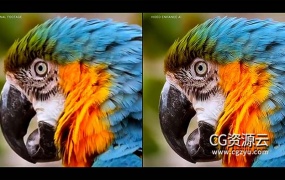 视频无损放大画质修复软件 Topaz Video AI V3.0.11 Win