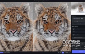 图片无损放大变清晰锐化软件 Topaz Photo AI v1.1.4 Win