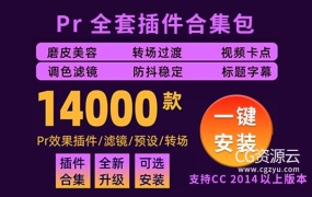 PR插件-全套插件合集PR插件一键安装包Win汉化版