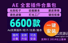 AE插件-全套插件合集AE插件一键安装包Win汉化版