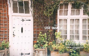 AE模板-毛刺信号故障视差感图像内容展示动画