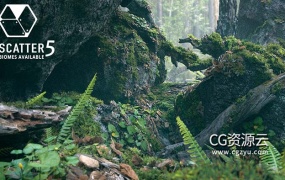 3D模型-原始森林树枝枯树苔藓石头蕨类植物草木C4D模型