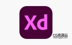 XD 56网站和移动应用程序设计 Adobe XD 中英文版 Win