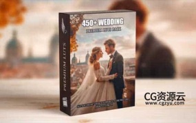 Luts预设-450个高级婚礼主题风格调色预设