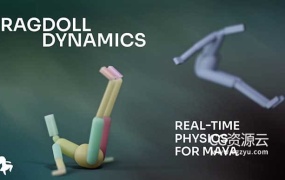 Maya/Blender插件-实时物理解算器插件 Ragdoll Dynamics Unlimited V2024