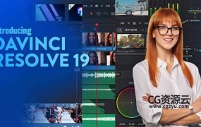 达芬奇 19 DaVinci Resolve Studio 19.1.1Win/Mac