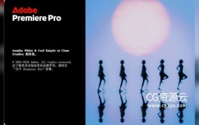 PR 2025 视频剪辑软件中英文多语言版 Adobe Premiere Pro 2025 Win/Mac