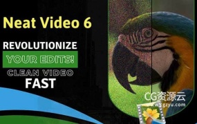 PR插件-视频降噪PR插件专业版 Neat Video Pro V6.0.5 Win CE