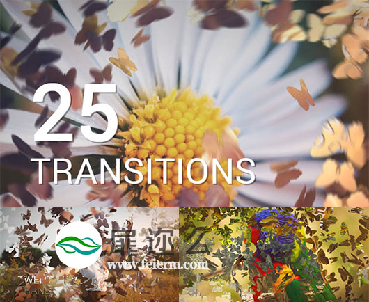 AE模板25种浪漫婚礼画面转换效果蝴蝶飞散转场效果