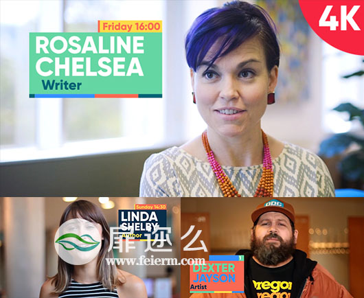 AE模板电视栏目采访视频制作公司会议宣传介绍