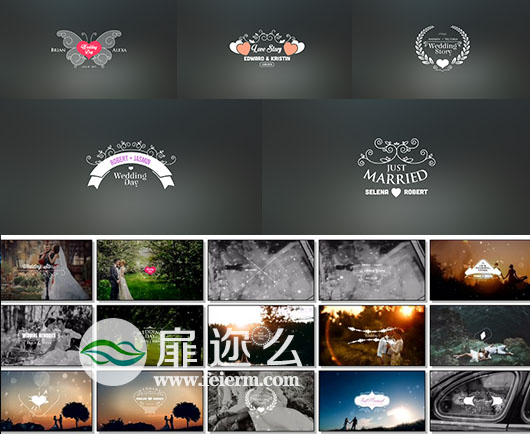 AE模板100组豪华爱情婚礼MV徽章标题新郎新娘名字与日期标题动画