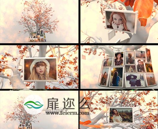 AE模板树枝悬挂美好回忆相册唯美婚礼家庭照片展示视频动画