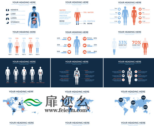 AE模板医学方面信息图表分析医疗数据动画效果