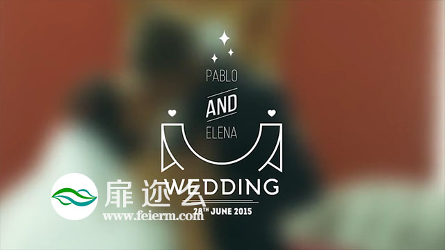 AE模板11组婚礼徽章文字标题动画