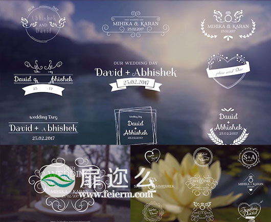 AE模版18个婚纱标志婚礼徽章标题元素动画