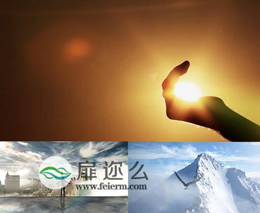 企业文化精神梦想宣传植物生长视频素材