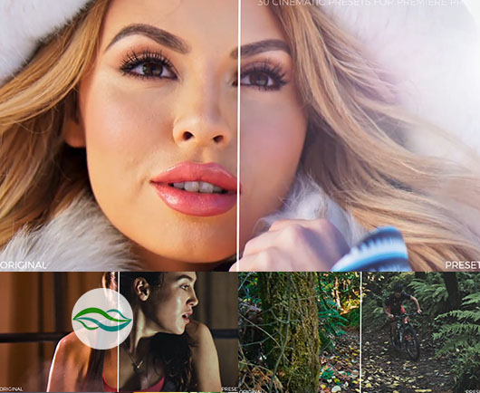 Pr预设30种电影调色预设30+Cinematic+Color+Presets