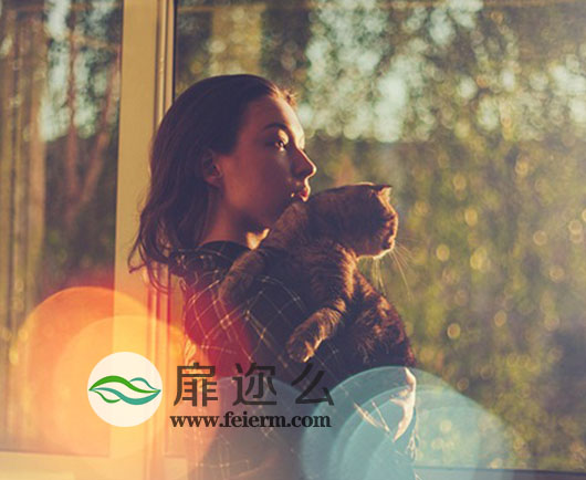 图片素材：49组唯美镜头光斑覆盖叠加视觉效果49 Bokeh Lights