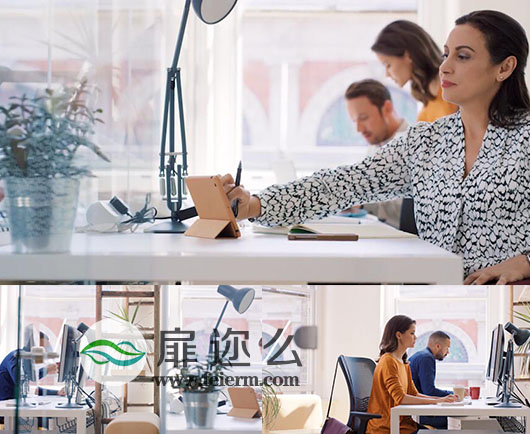 实拍高清视频企业商务IT人士工作视频画面