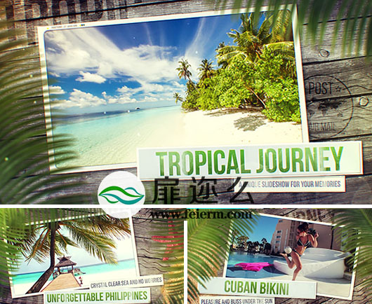 AE模板棕榈树热带度假旅游胜地相册动画