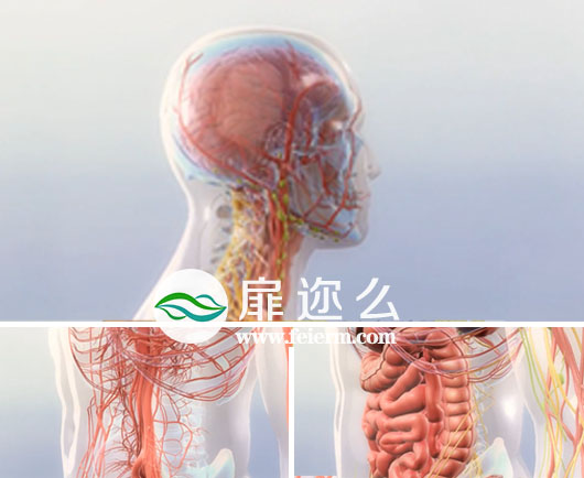 视频素材医疗人体三维效果视频