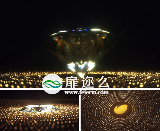 AE模板大气豪华黄金色的珠宝闪闪发光钻石logo演绎动画