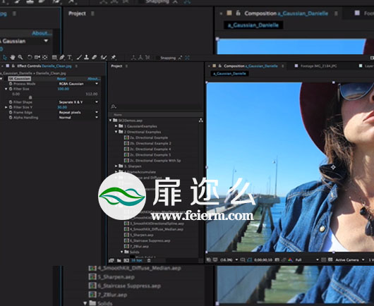 AE/Pr插件：自定义模糊 RevisionFX SmoothKit 3.3.5