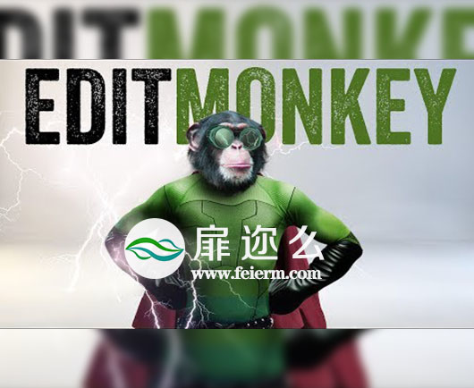 AE脚本：一键处理多图层运动 EditMonkey v1.0.0