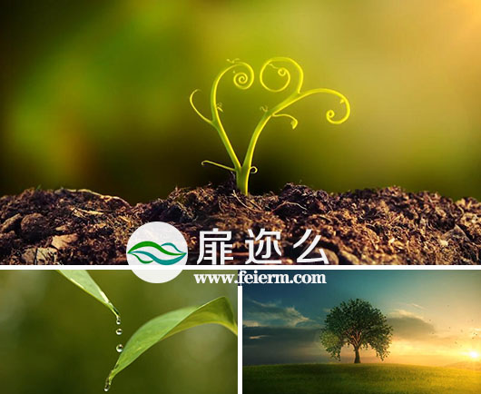 视频素材：具有深刻意义的水滴大树成长过程素材