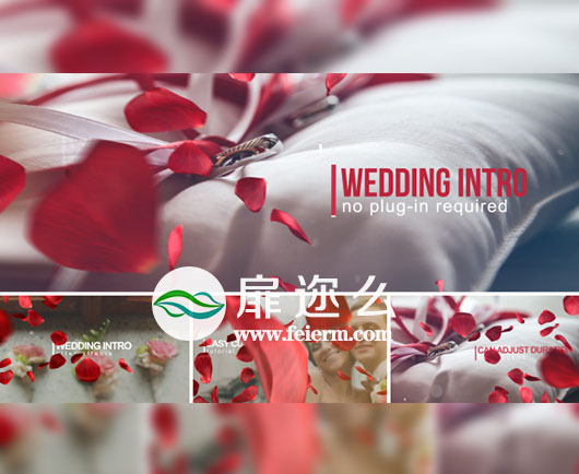 AE模板唯美爱情浪漫情人节玫瑰花瓣婚礼相册