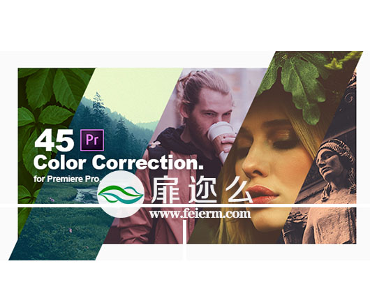 Premiere预设：45个电影大片复古黑白自然调色预设 Color Grading Presets