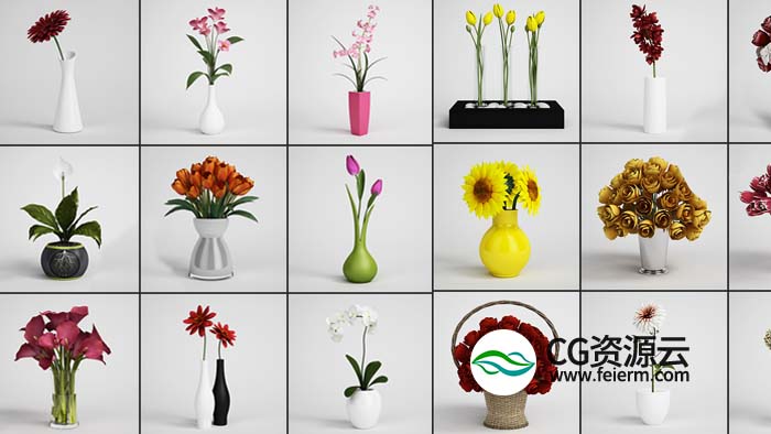 3D模型-25个室内鲜花插花C4D模型合集 Flower arrangement