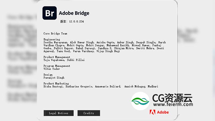BR 2022 资源管理软件 Adobe Bridge 2022 中英文破解版 Win/Mac M1