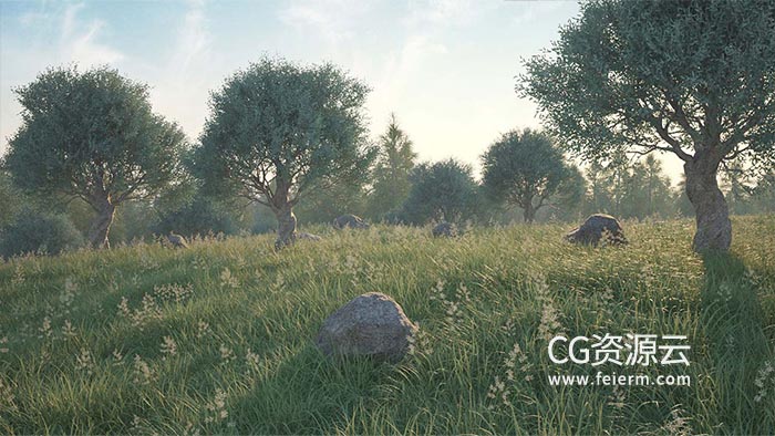 C4D插件-植物树木草地石头生成制作插件 3DQUAKERS – Forester v1.5.2+ Expansion Pack v1+V2 预设包