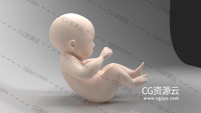 3D模型-婴儿baby胎儿幼儿小孩C4D模型