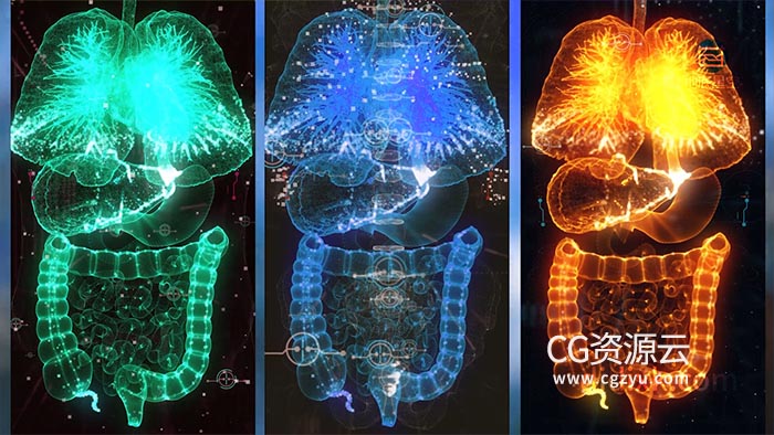 AE模板-HUD科技感人体男性身材女性身材大脑心脏9个医疗场景动画